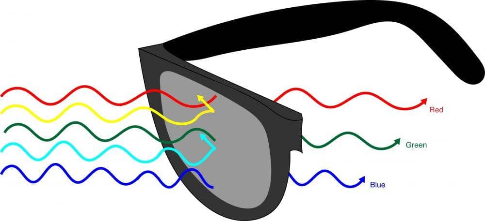 sitn.hms.harvard.edu