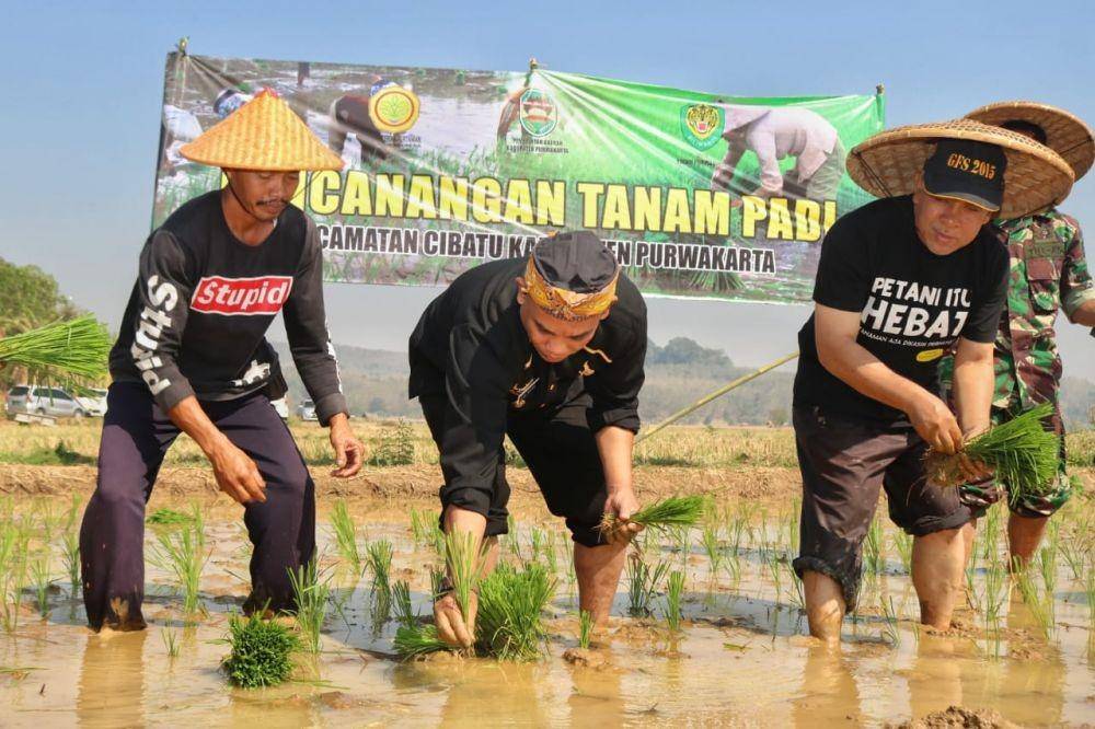 IDN Times/Pemkab Purwakarta