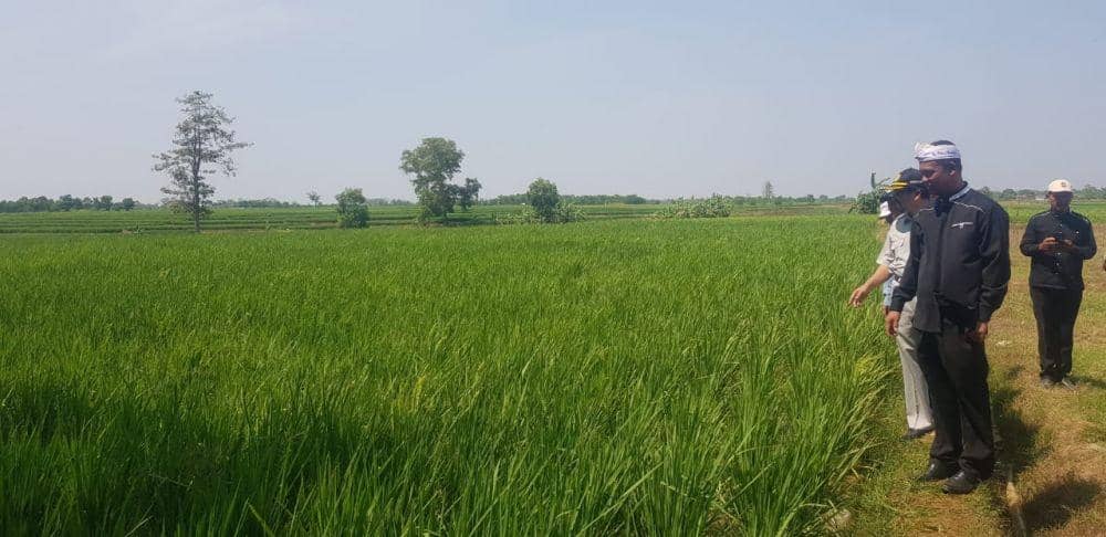 IDN Times/Pemkab Purwakarta