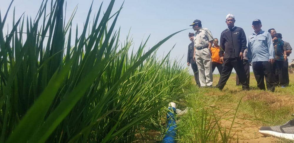 IDN Times/Pemkab Purwakarta