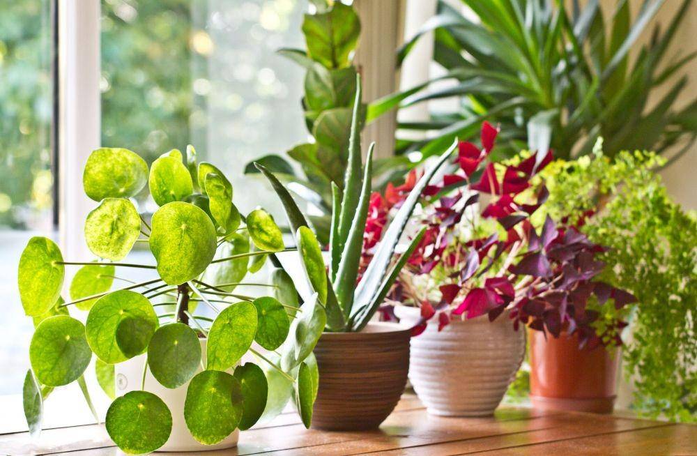 goodhousekeeping.com