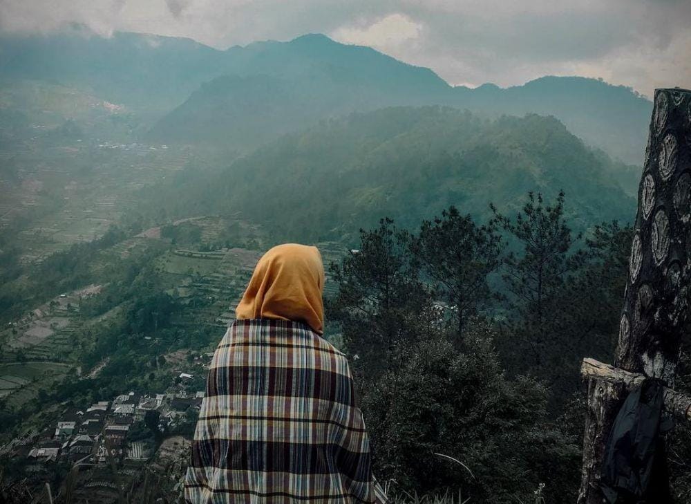 instagram.com/afisnsl