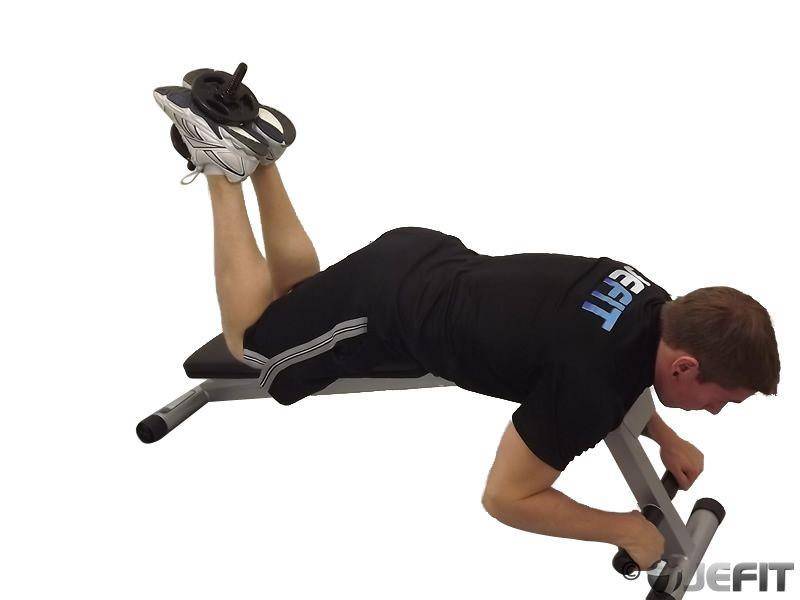 jefit.com