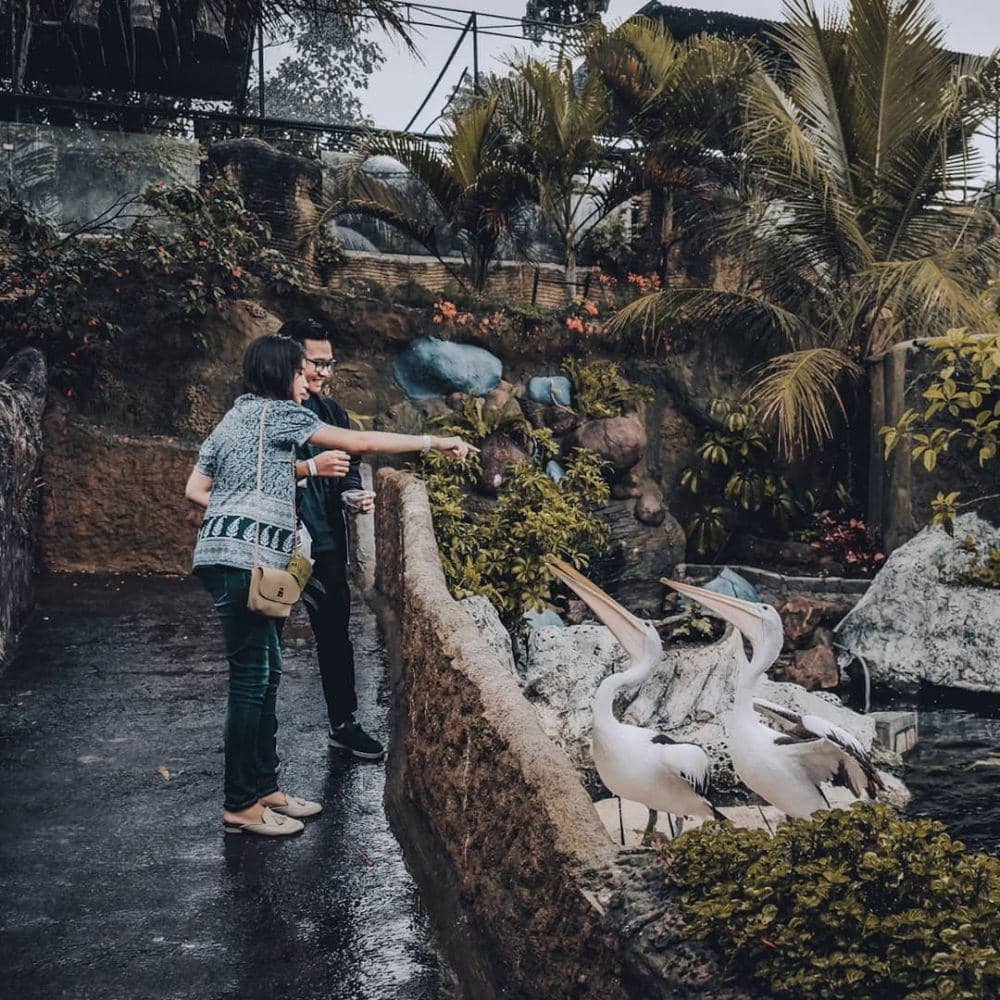 instagram.com/kevin_ditya