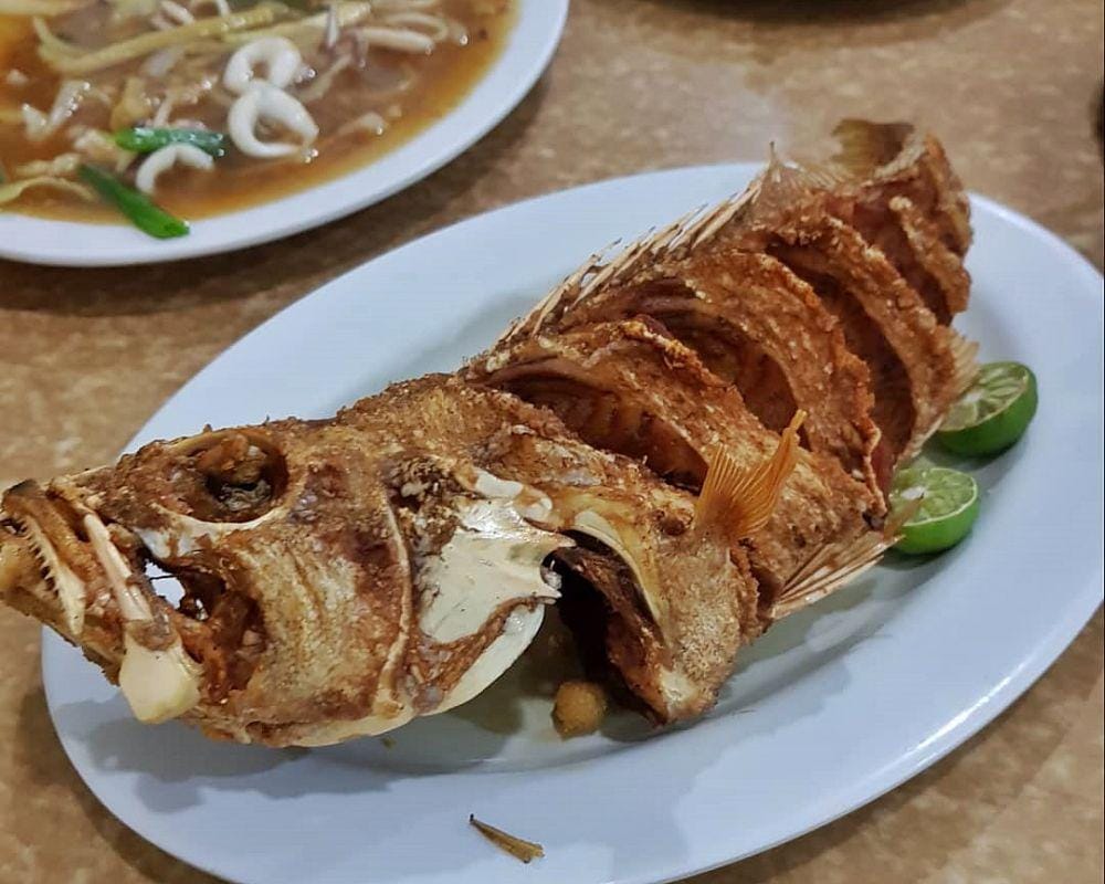 instagram.com/gisella_tania