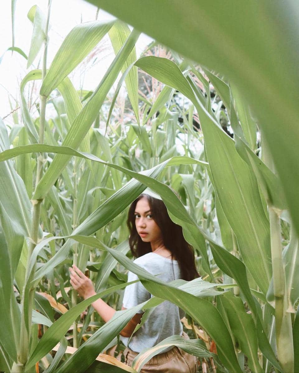 instagram.com/yukikt