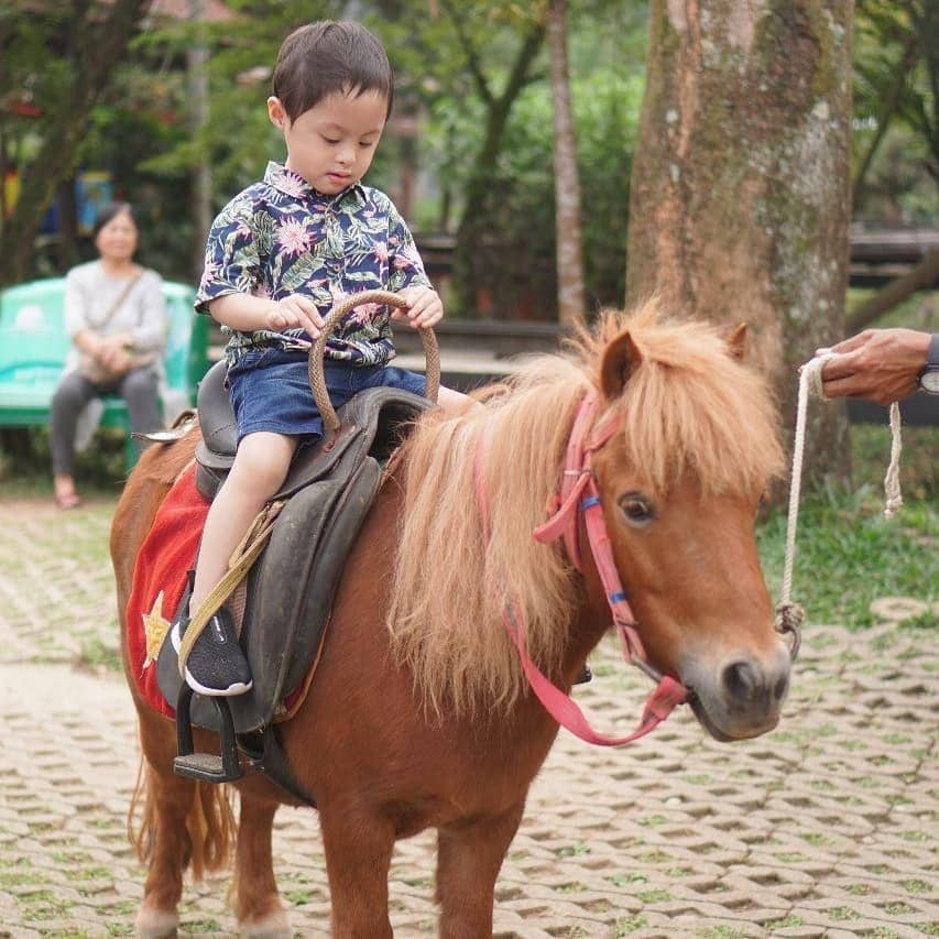 Instagram/tatjanadanbima