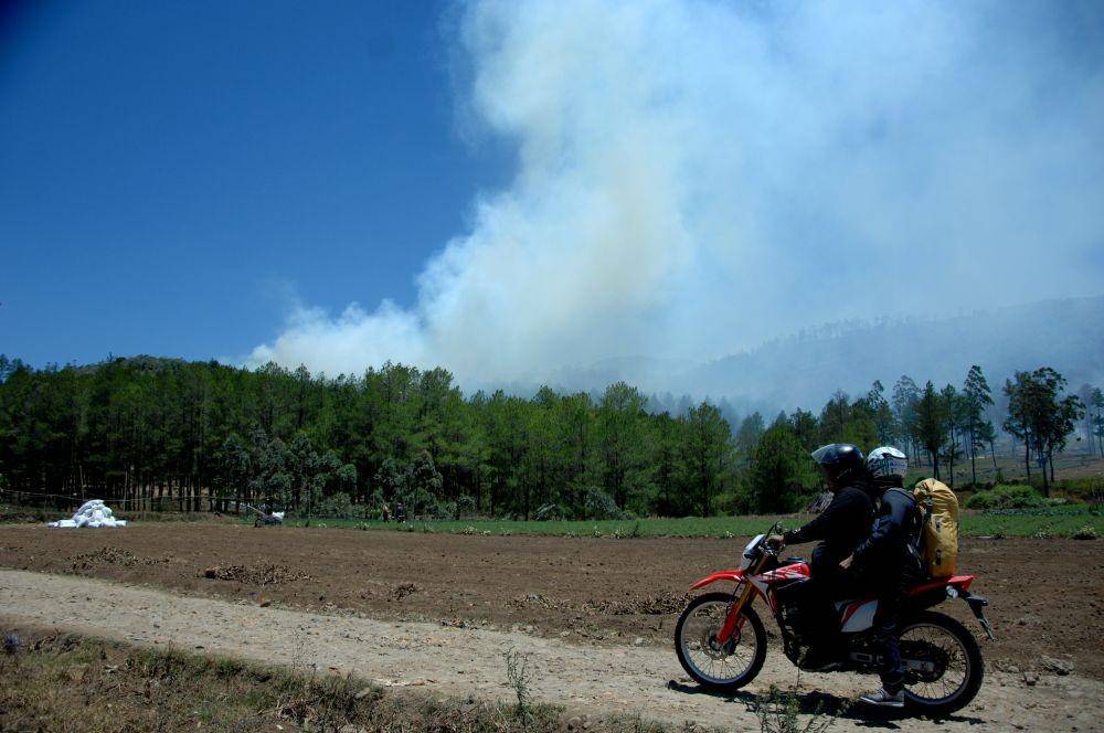 ANTARA FOTO/Abriawan Abhe