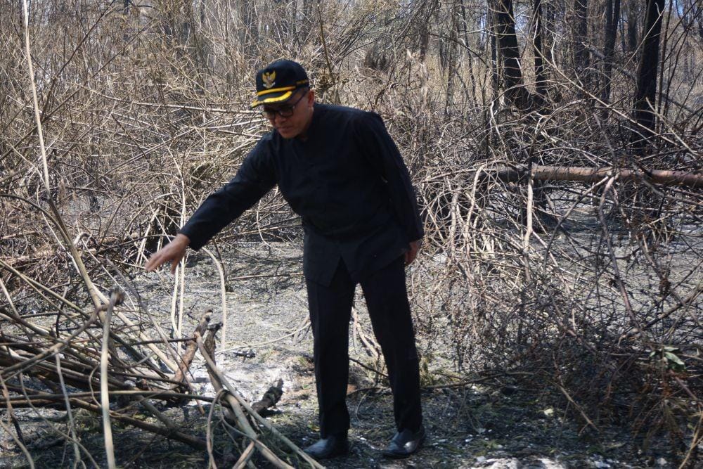 IDN Times/Mohamad Ulil Albab