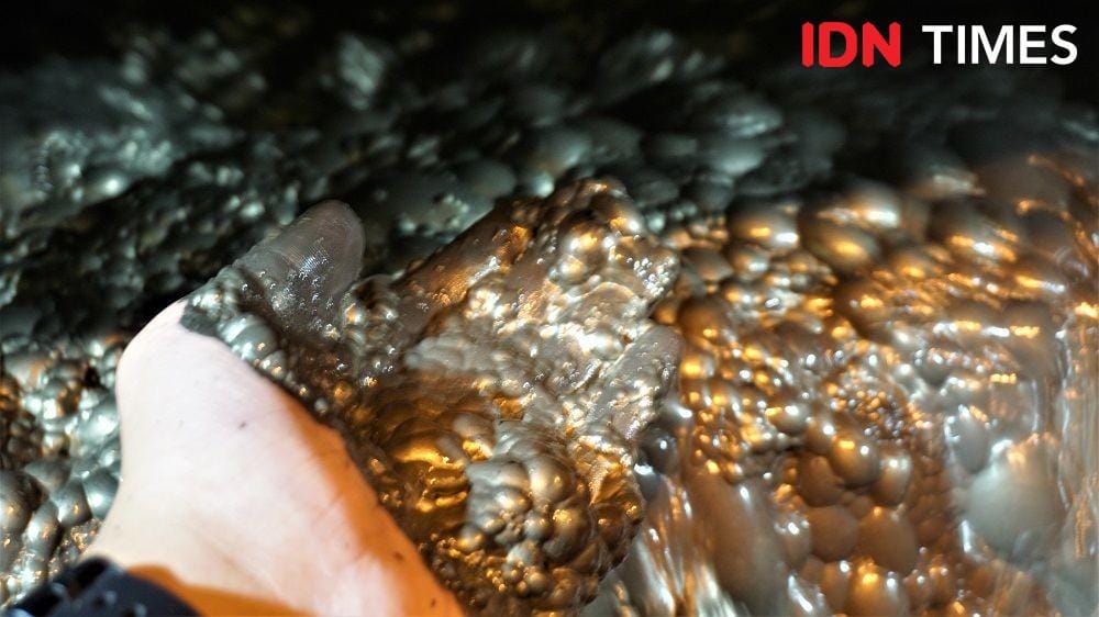 IDN Times/Karsa Adiguna