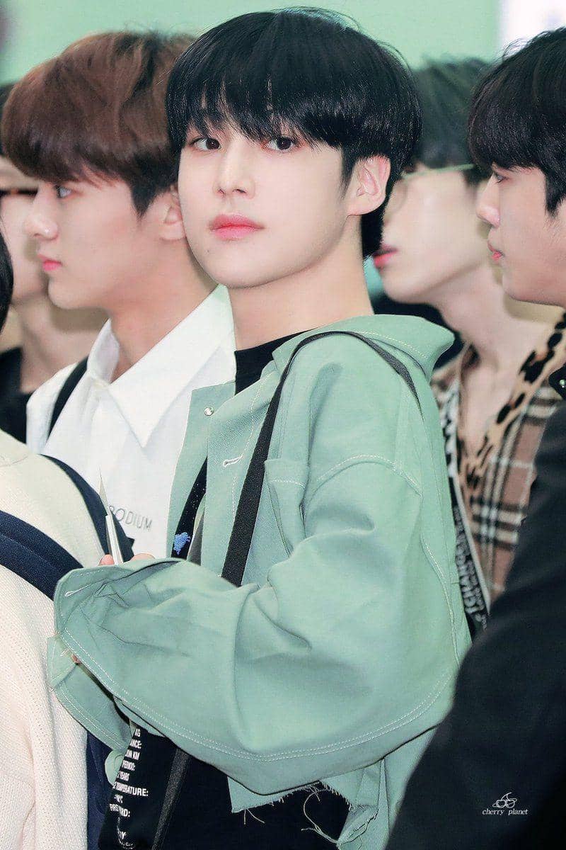 Twitter @cherry_planet_