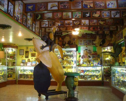 internationalbananamuseum.com