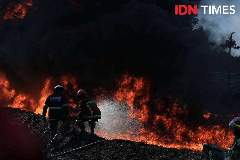 (Ilustrasi) IDN Times/Bagus F