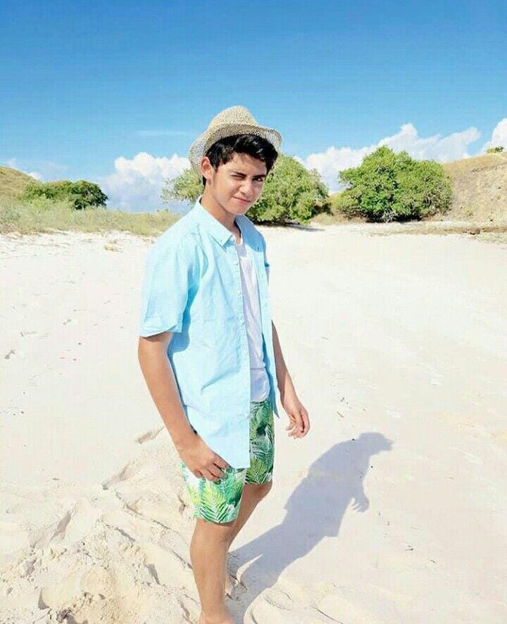 instagram.com/aliando syarief