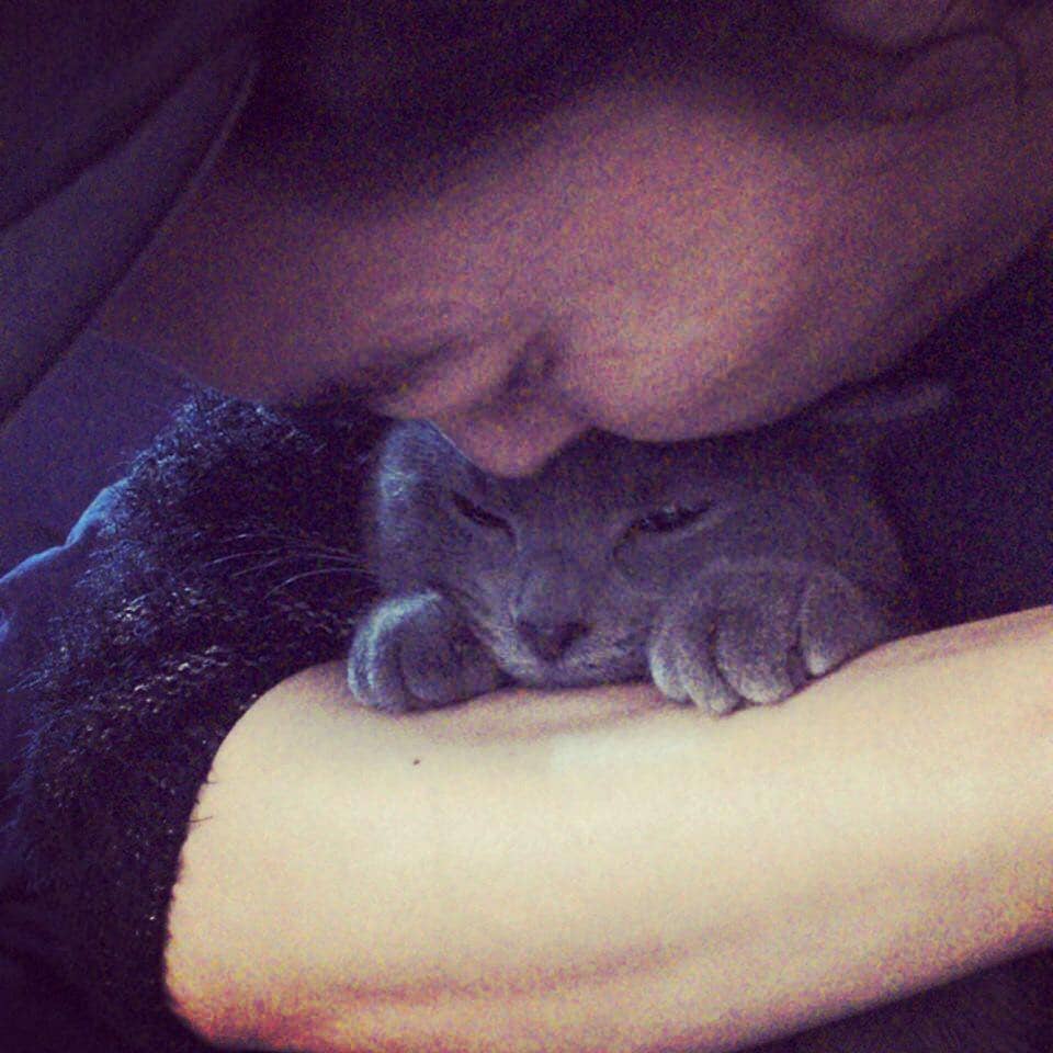 instagram.com/jaeuck.kim