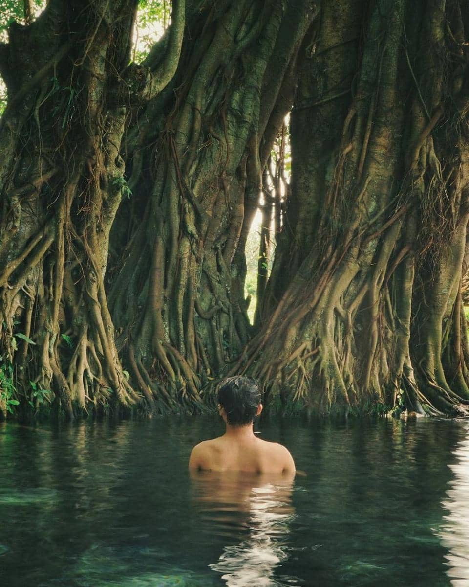 instagram.com/fahmikafabih