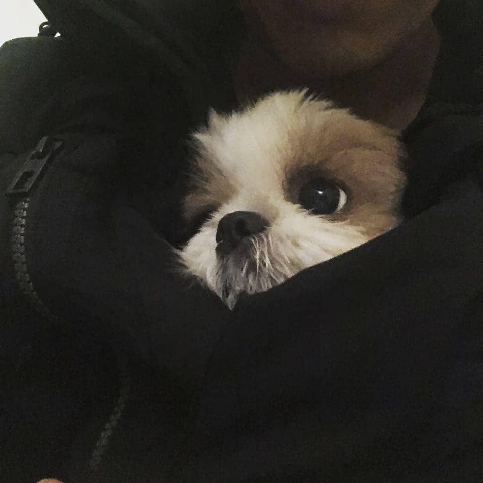 instagram.com/jaeuck.kim