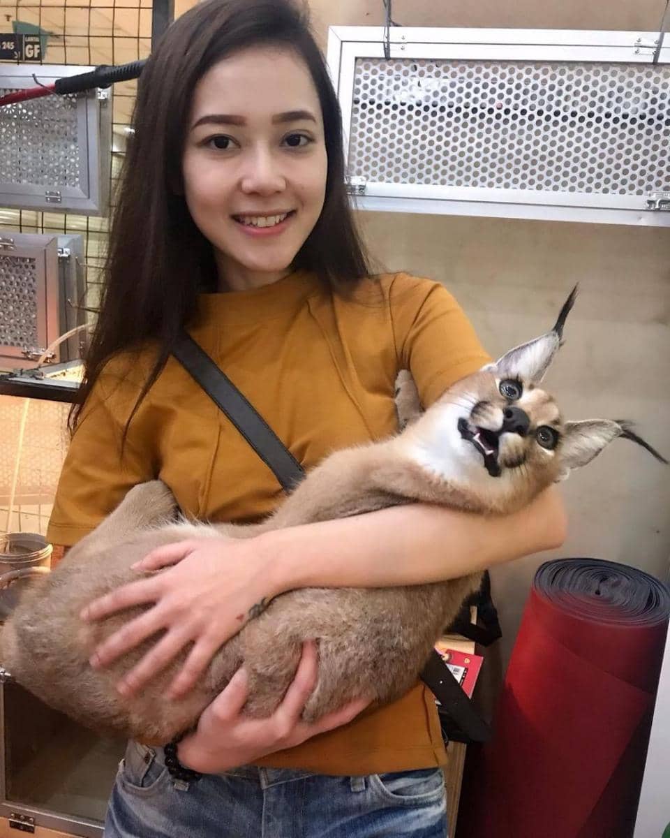 Instagram.com/rebeccaregina05