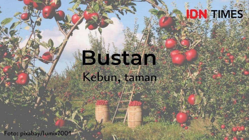 IDN Times/Dewa Putu Ardita