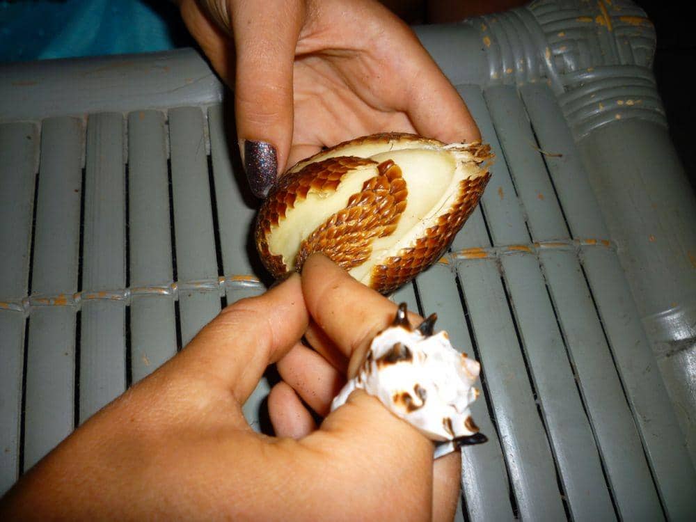 doyoueventourist.com