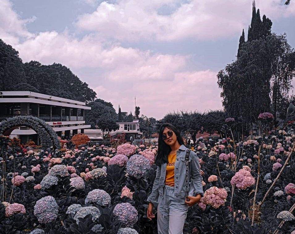 instagram.com/manikaary