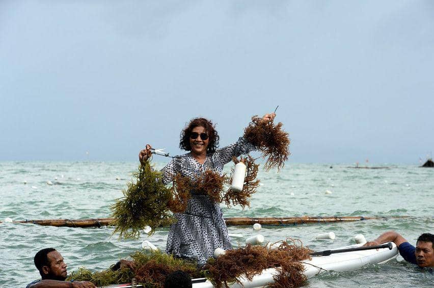 Instagram.com/susipudjiastuti115