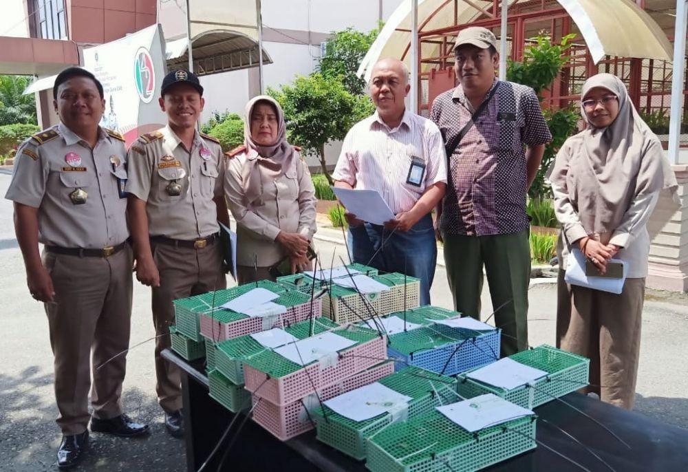 Dok.IDN Times/istimewa