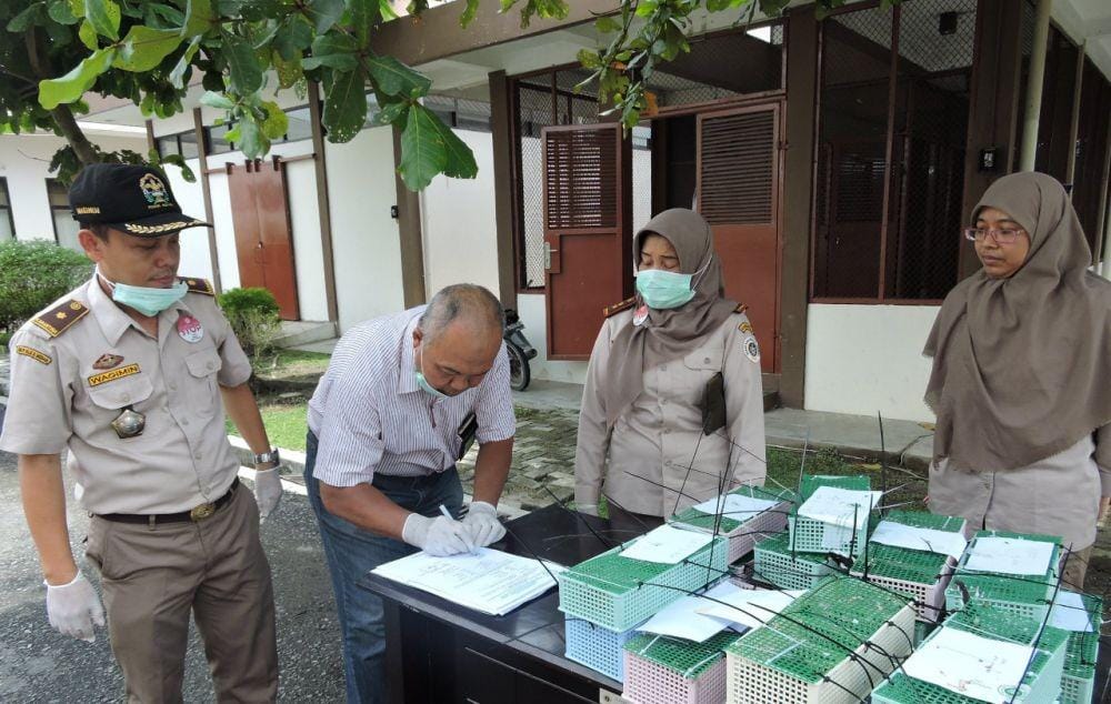 Dok.IDN Times/istimewa