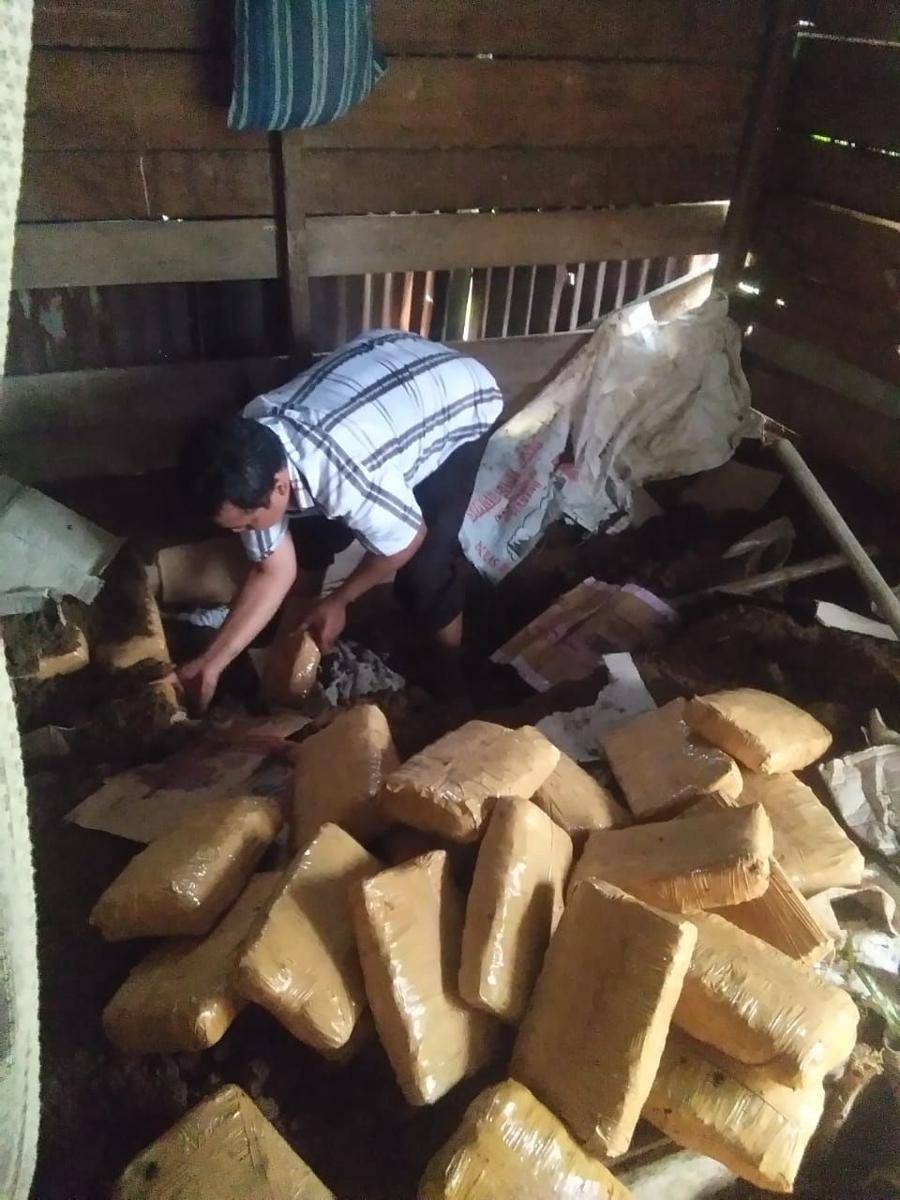 pengungkapan ganja di Siantar