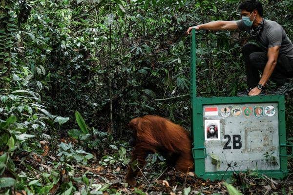 Instagram.com/richo_kyle