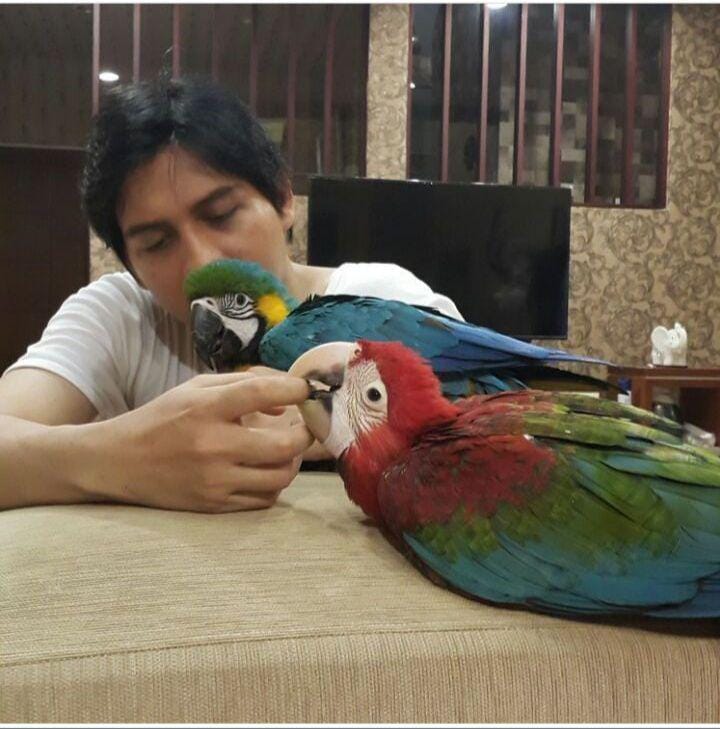 instagram.com/luckyofficial