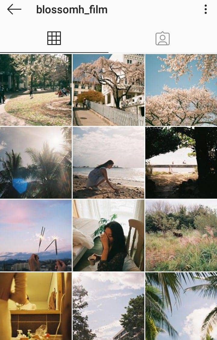 instagram.com/blossomh_film