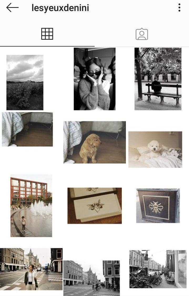 instagram.com/lesyeuxdenini