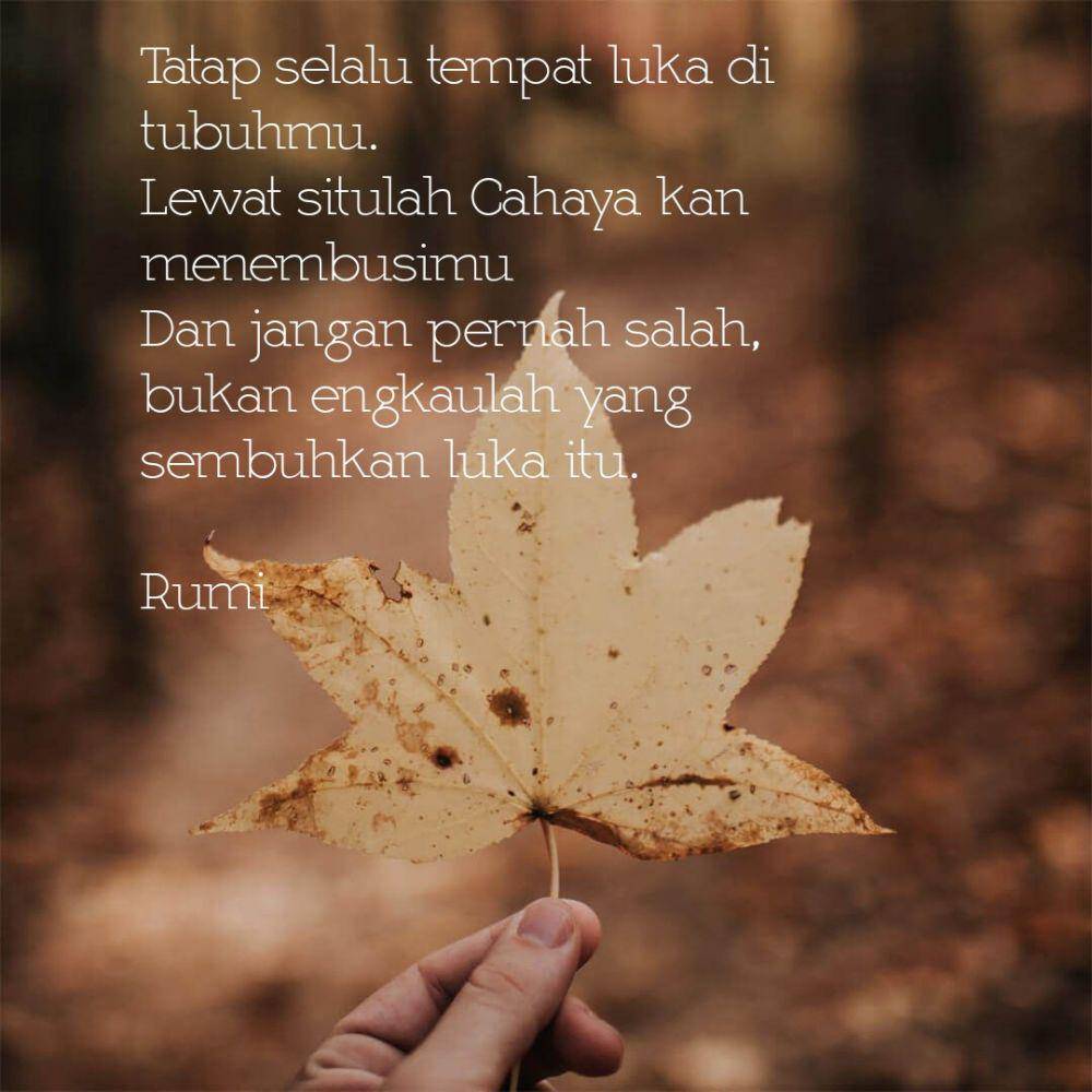 quotescreator.com