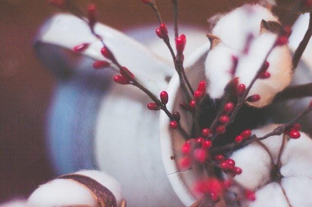 pexels.com/ Irina Iriser