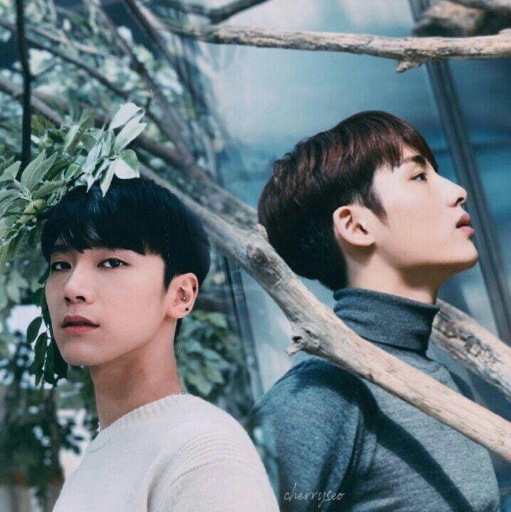 twitter.com/seolestial09