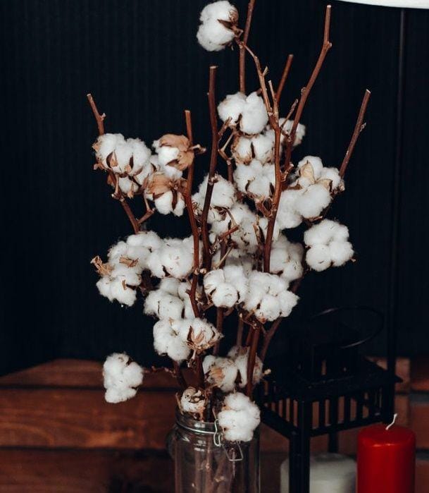 pexels.com/Irina Iriser