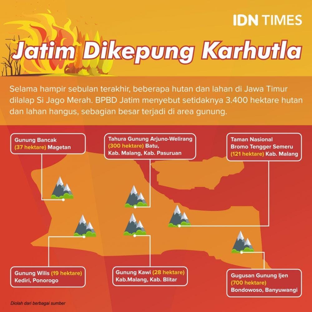 Infografis karhutla sejumlah pegunungan di Jawa Timur. IDN Times/Sukma Shakti.