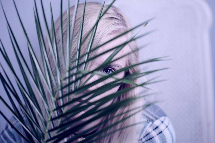 Unsplash.com/SharonMcCutcheon
