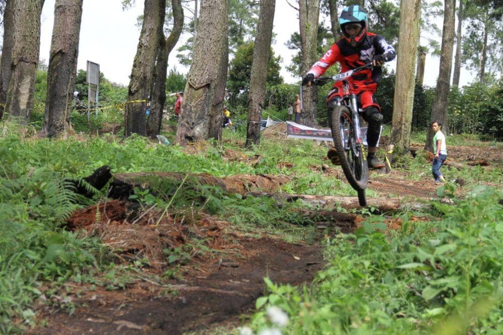 Dok. IDN Times/IStimewa