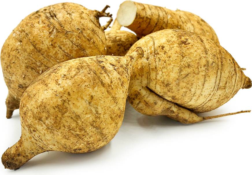 specialtyproduce.com