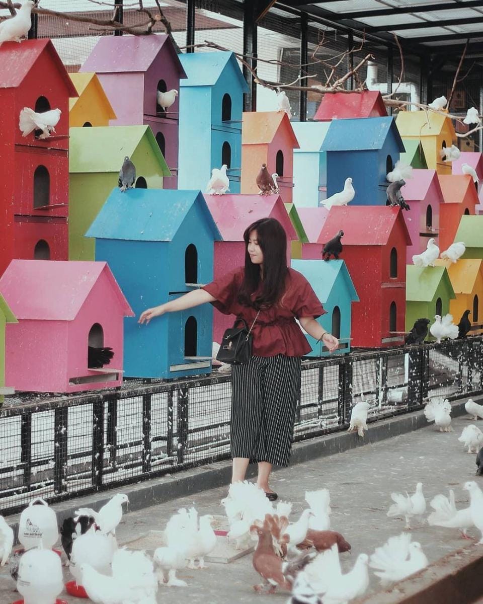 instagram.com/yolaaoconn18