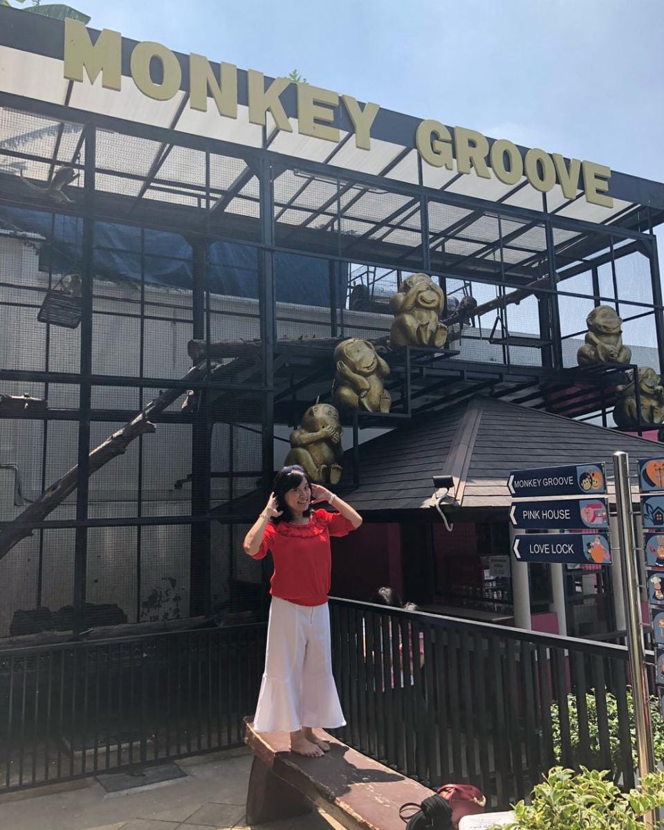 instagram.com/ladybunnyexplorer