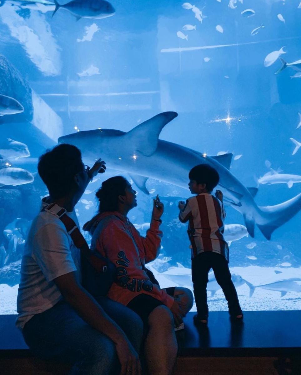 Instagram.com/putrititian