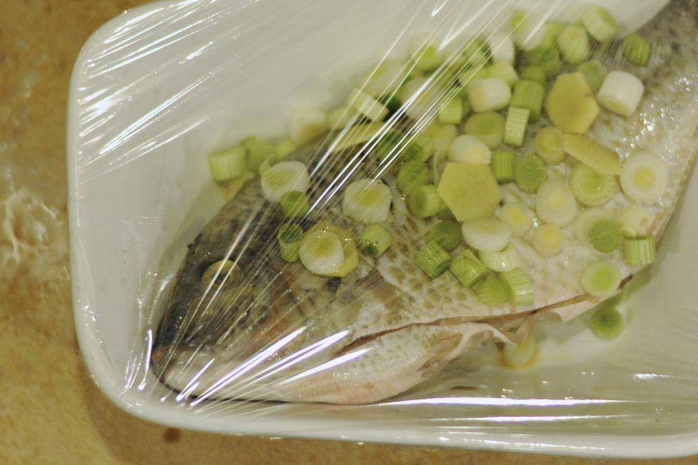 jetcitygastrophysics.com