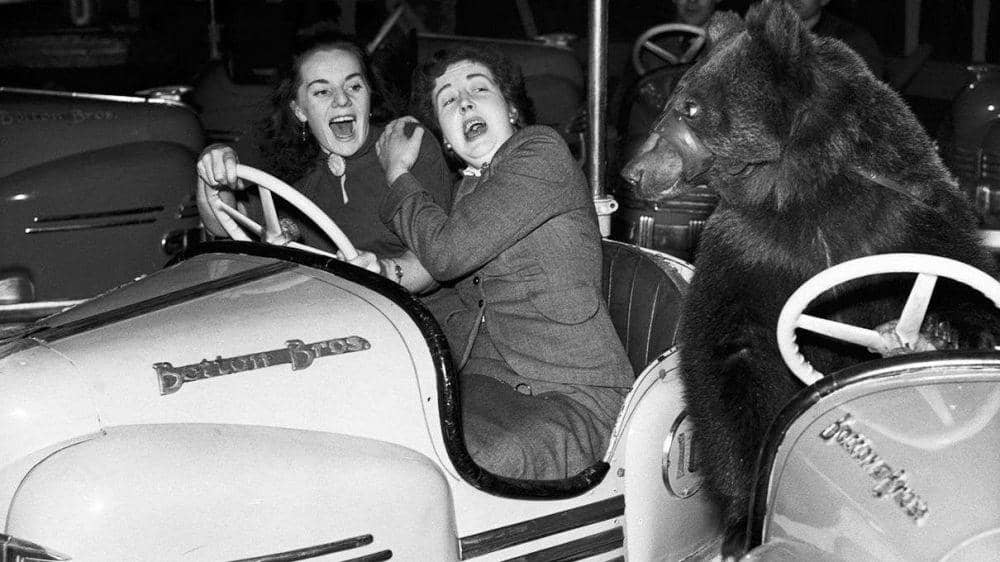 science.howstuffworks.com