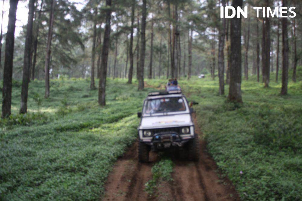 IDN Times/Rudal Afgani