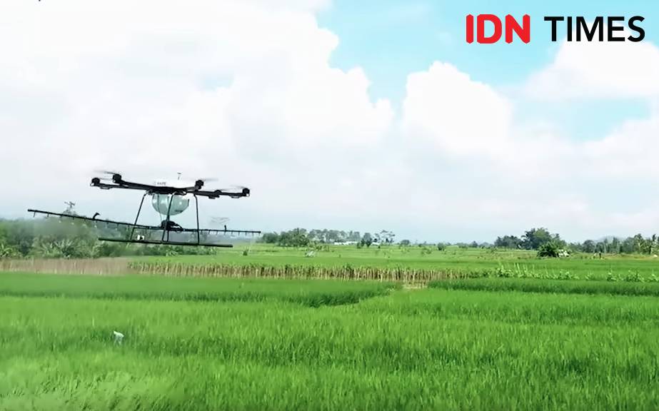 IDN TImes/Dhana Kencana