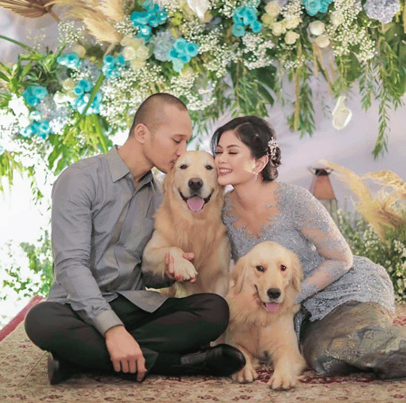 instagram.com/bimaaryo