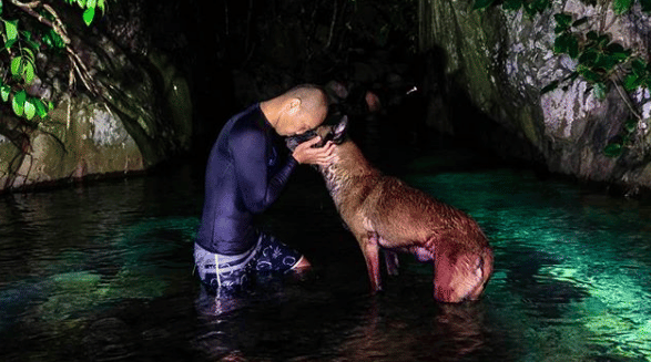 instagram.com/bimaaryo